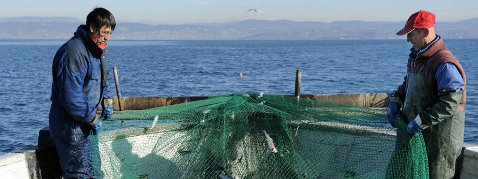 Trdo delo, vztrajnost in ljubezen do morja - lastnosti dobrega ribiča 
